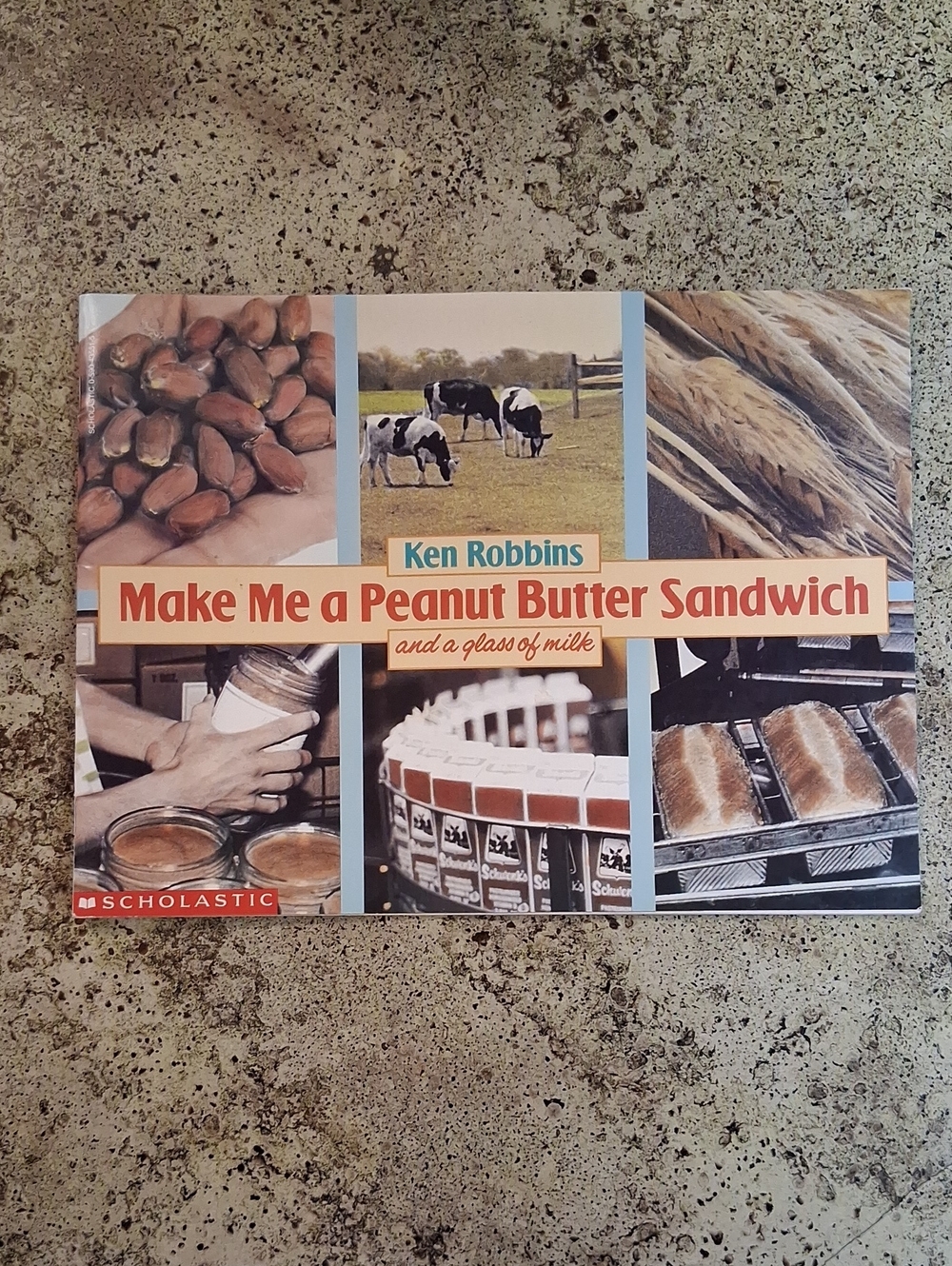 Scholastic Make Me a Peanut Butter Sandwich by Ken Robbins Preschool Elementary